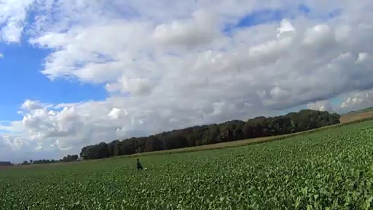 chasse 06.4 2013