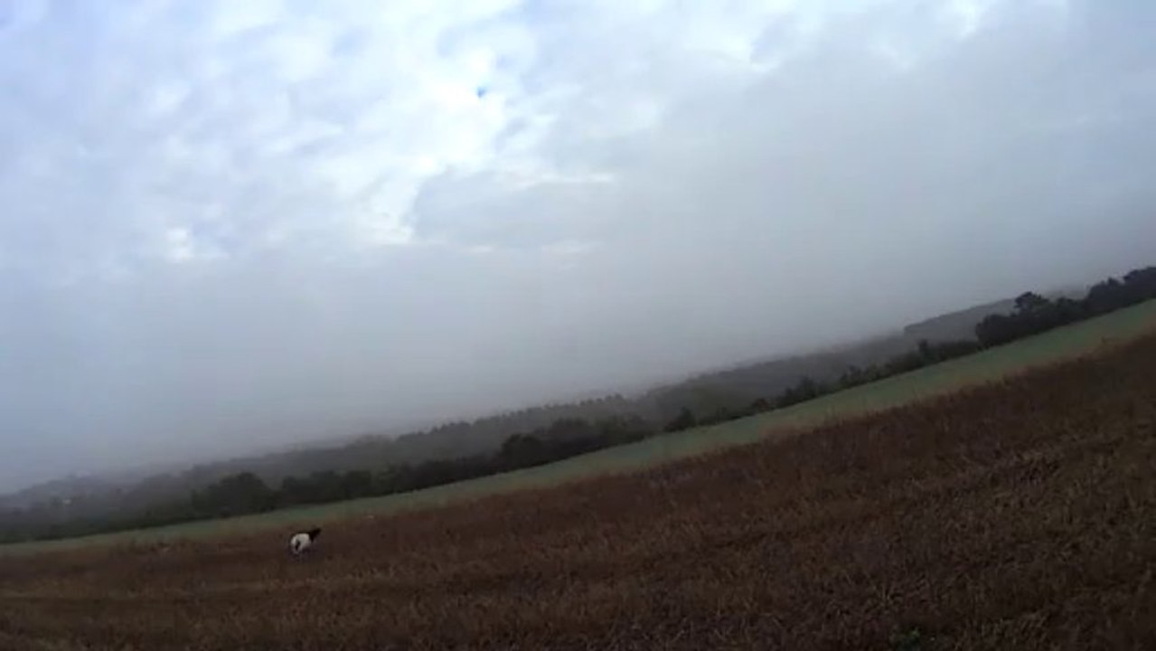 chasse 06.6 2013