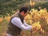Hirotake Ooka, la difficile quête de goût d'un japonais dans les vignes - 06/10