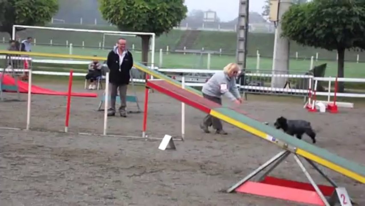 ussac 6 10 2013  bianca open 1 degre