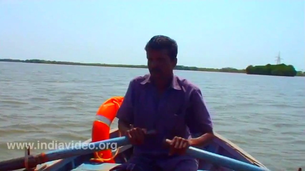 Pichavaram Backwater Pondicherry Chennai