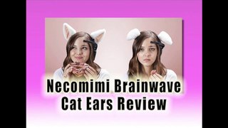 Necomimi Brainwave Cat Ears Review - Best Xmas Toys Reviews 2013-2014