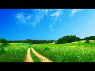 Belize Property For Sale