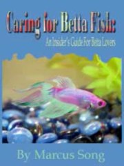 Betta Lovers Guide. Review + Bonus