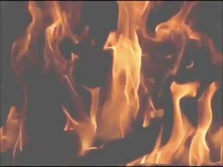 GameTag.com - Roblox Trailer Into The Wild - Buy Account