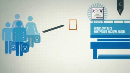 Montpellier Business School    Taxe d'apprentissage