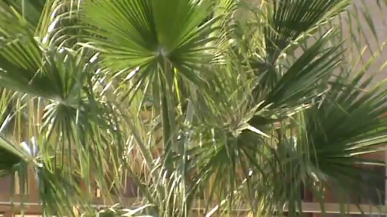 RIU Kaya Palazzo Belek Tuerkei Antalya (38)