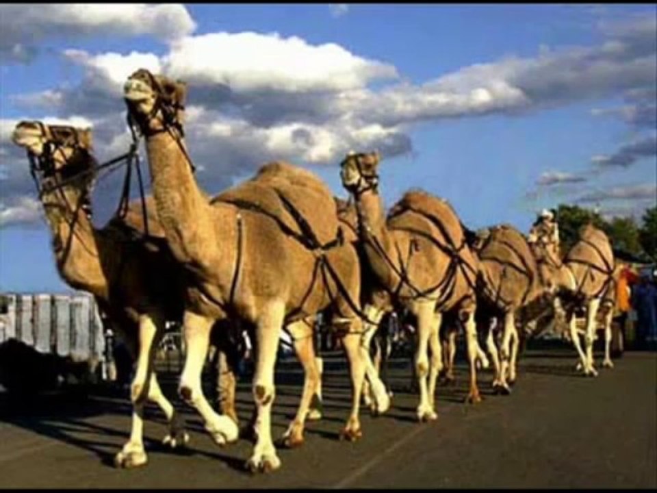 Abdurrahman Önül Güzeldir Kabe Yollari-http___www.ilahidinle.be_category_sedat-ucan-ilahileri_