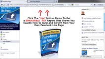Facebook Like Page Builder - Build Your Very Own Facebook Like-Fan Pages Instantly - Free Download