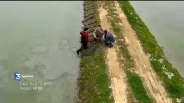 Cap Sud-Ouest - Marennes Oléron, entre terre et mer