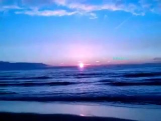 demedim mi tamer 2011