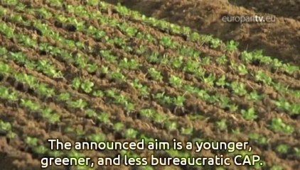 7 Days: A bold response required to spying abuses - Going beyond 2020 emissions goals