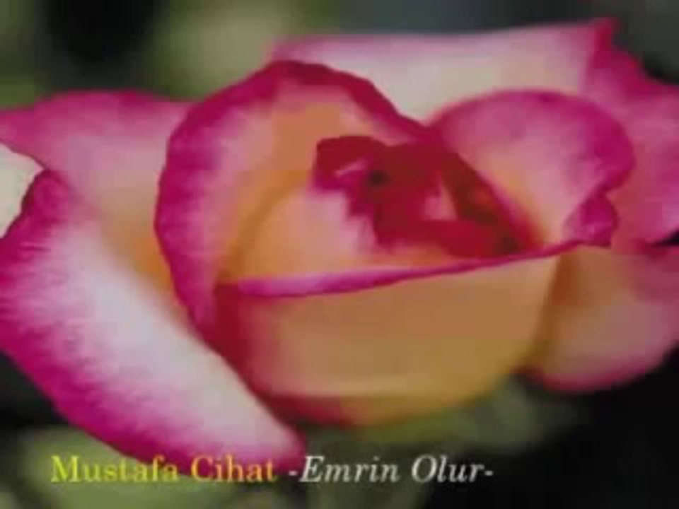En güzel ilahiler...Mustafa Cihat Emrin Olur.FLV ilahisi dinle
