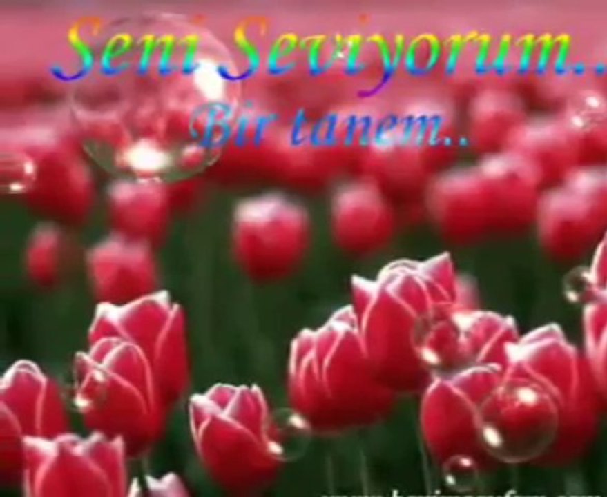 En güzel ilahiler...Yak Sultanim Yak