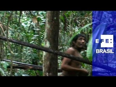 Vídeo inédito comprova existência de índios da tribo Kawahiva no Mato Grosso
