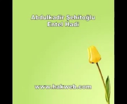 En güzel ilahiler...Abdulkadir Şehitoğlu - Entel Hadi ilahisi dinle