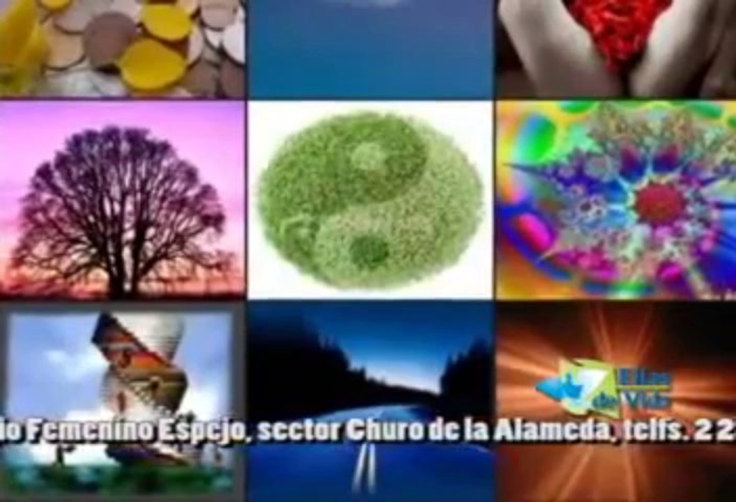 El feng shui descrito por vicenta