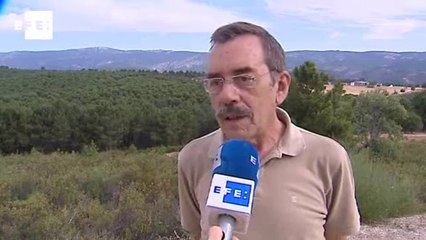 La serranía andaluza adopta a dos cachorros de lince criados en cautividad