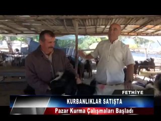 Kurbanlık Pazarı Hazırlanıyor