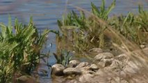 La restauración ambiental de las Lagunas de El Porcal, en Red Natura de la Comunidad de Madrid