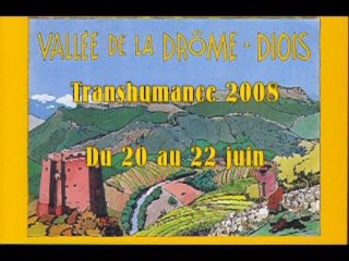 La transhumance à Die DROME