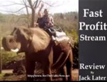 WARNING! Don't Buy Fast Profit Stream by Vic Roman! -- Fast Profit Stream by Vic Roman Review Video