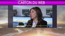 Le carton du web