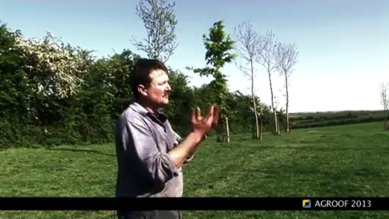 ITW4 Alain François - cahierDVD PLANTATION/TAILLE - agroforesterie