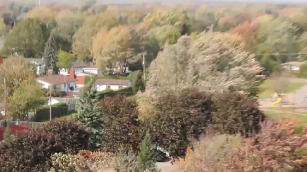 Vent d'automne