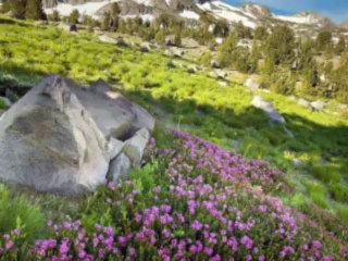 Collingsworth Family - God Is In The Shadows