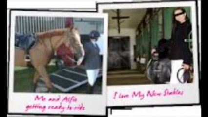 Race Whisperer and Walk Away Winner Horse Racing System
