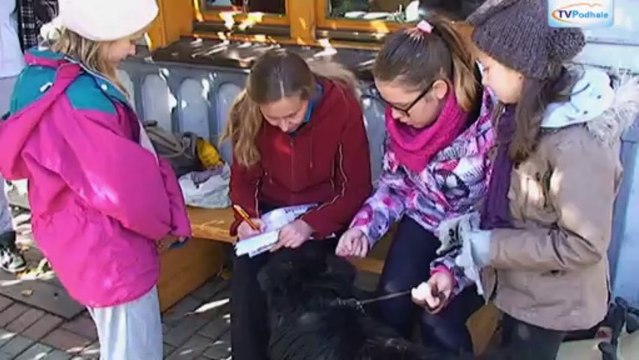 Ze schroniska do domu