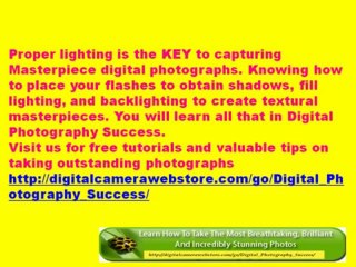 Digital Photography Success