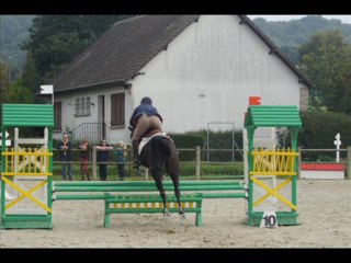 ASMINE D'ORROUY en CSO Entraînement à NOYON le 6 octobre 2013