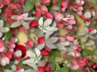 ROTI KHOL DO Part 2 - Pakistani Punjabi Stage Drama - 2