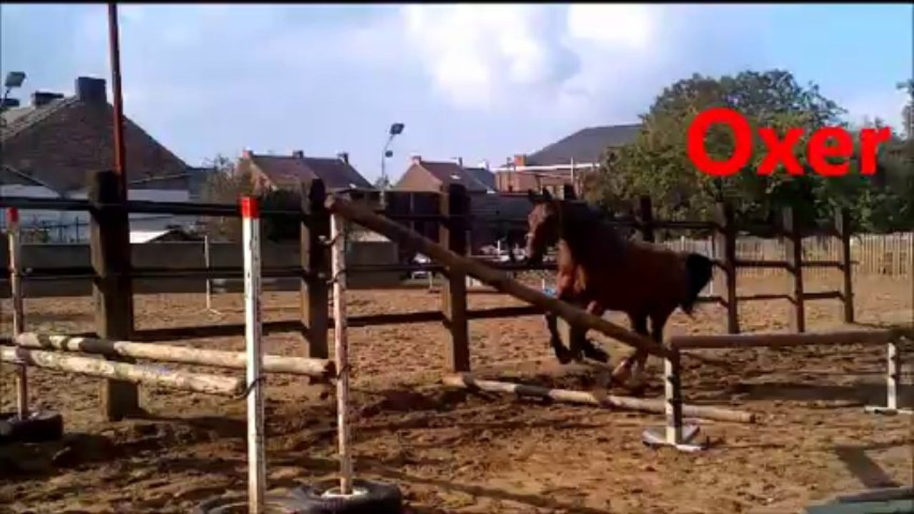 Portland sauts en liberté