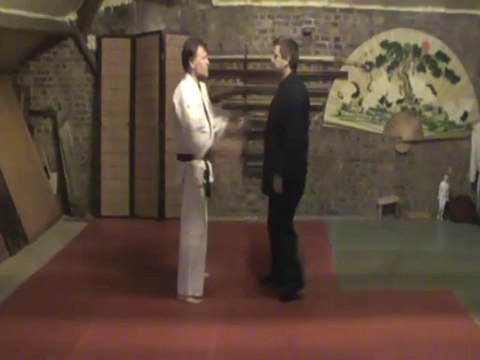 Shizentai ryote kubi shime dori : empi shuto waki gatame omote