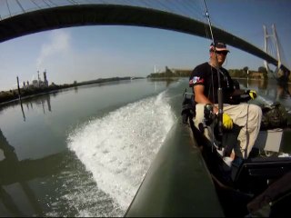 beaucaire peche silure du pont
