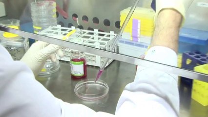 MINTAKA Finding simple solutions for developping countries