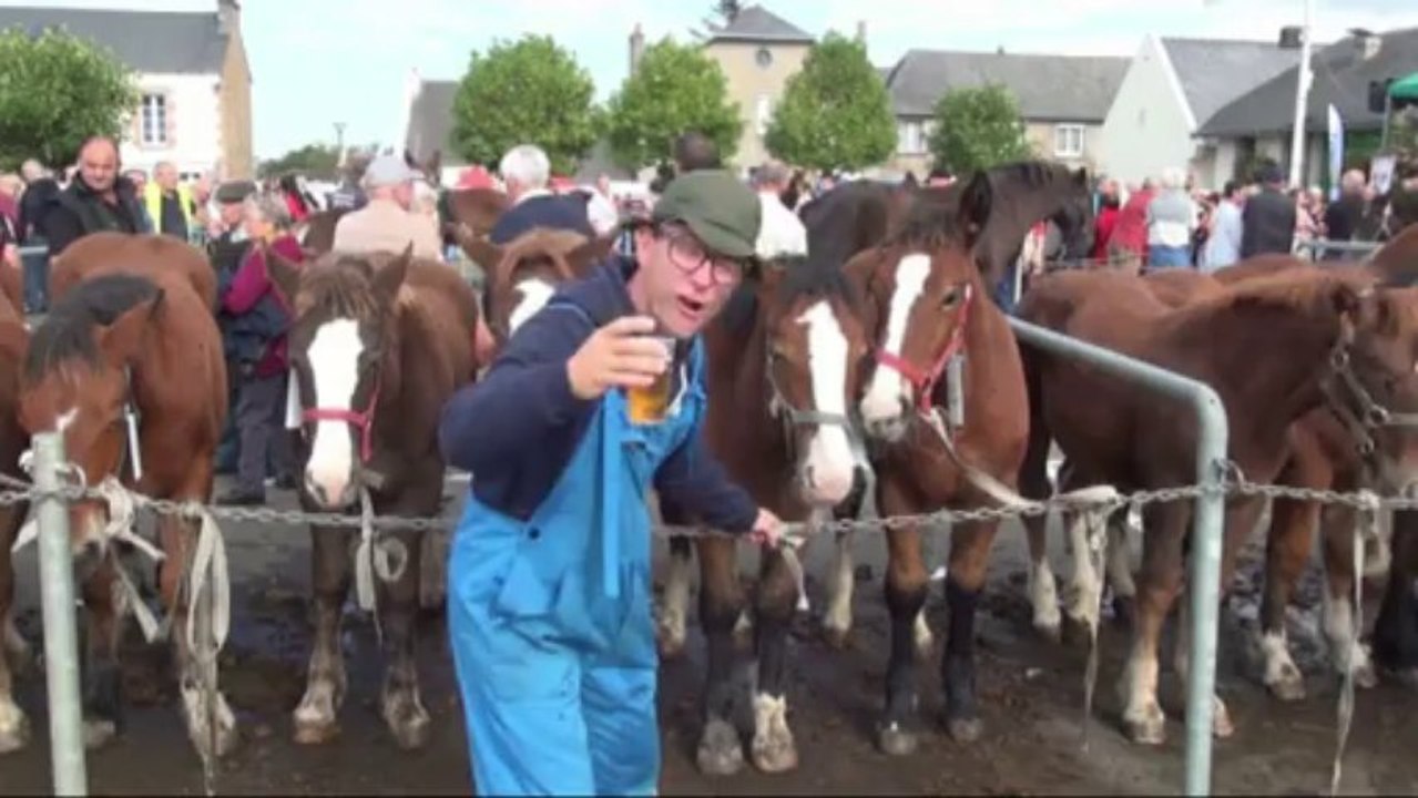 la foire aux poulains. (clip officiel de Laurent Chandemerle)