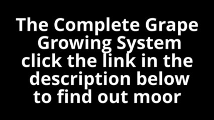 The Complete Grape Growing System