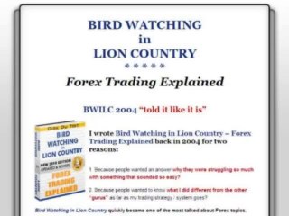 Bird-Watching-In-Lion-Country-2010-Forex-Trading-Explained."