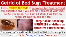 Bed Bug Control Guide - Bed Beg Bites - Toxic Treatment