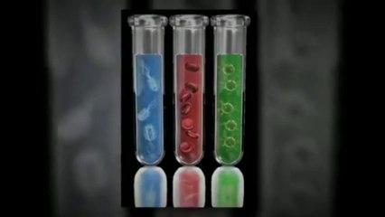 Linda Allen Schluss mit Pilzinfekten