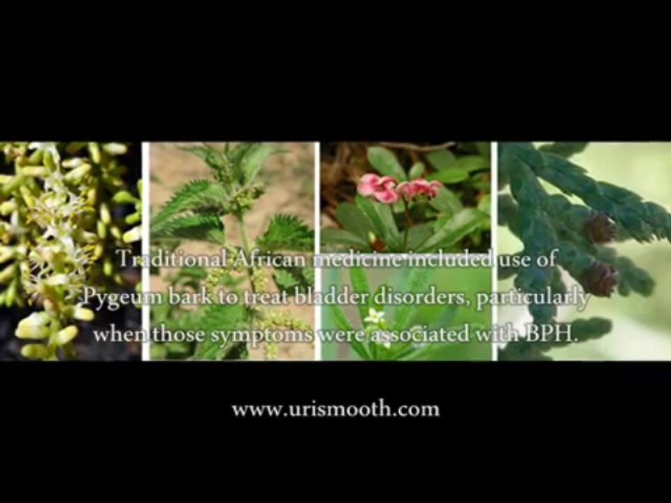 Healthy Prostate Herbs Reviews - Does Healthy Prostate Herbs Work?