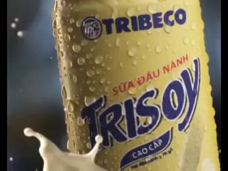 sữa đậu nành tribeco