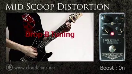 Mesa/Boogie Throttle Box