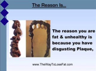 Fat Loss Secret to Lose Weight