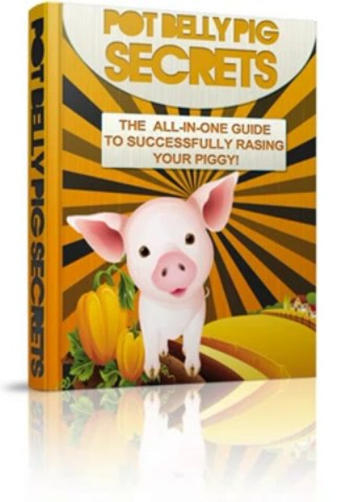 Pot Belly Pig Secrets Review + Bonus