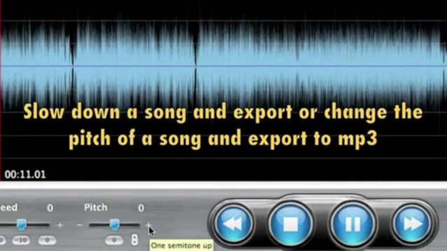 saving loops slowed down songs or changed pitch riffmaster pro
